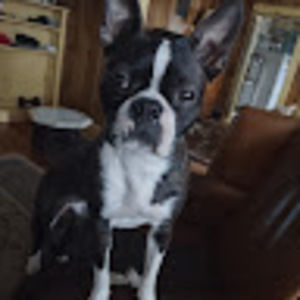 Meet your Posher, Jeffrey